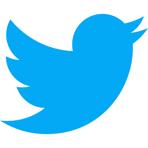 Twitter Share Icon